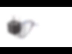 NEMA8 ha infilato i motori passo a passo della madrevite dell'asse 20mm con il dado