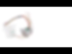 Fase bipolare 2 del motore passo a passo 20mm del micro dell'azionamento 24V con il Metal Gear